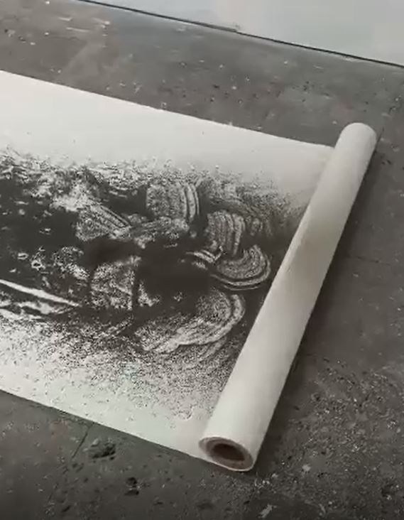 Nous sommes le paysage série 2.4